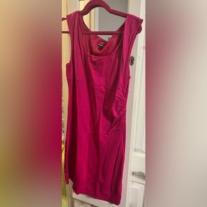 Pink express dress